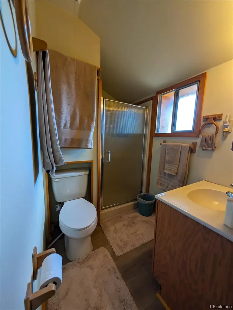 2117 Badger Creek Road Hartsel CO 80449