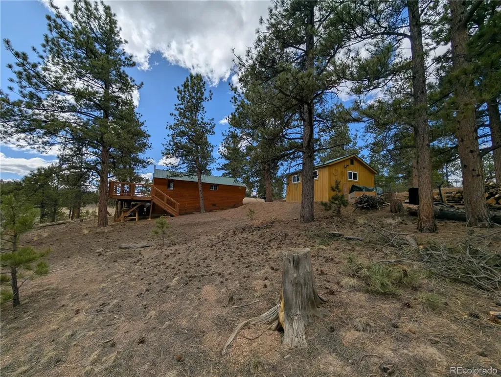 2117 Badger Creek Road Hartsel CO 80449