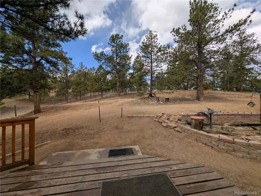 2117 Badger Creek Road Hartsel CO 80449