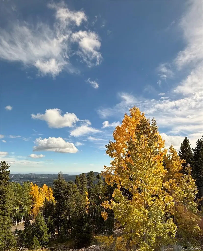 10766 Timothys Drive Conifer CO 80433