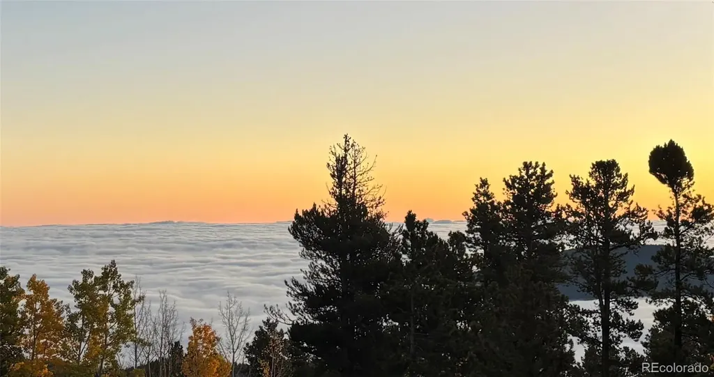 10766 Timothys Drive Conifer CO 80433