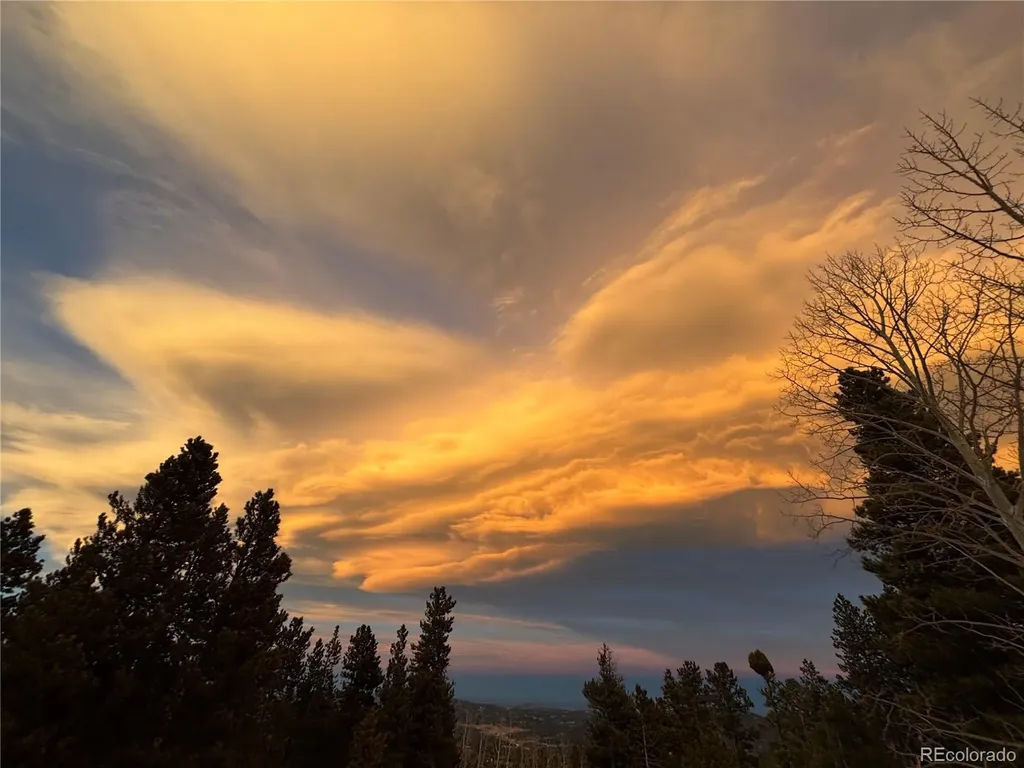 10766 Timothys Drive Conifer CO 80433