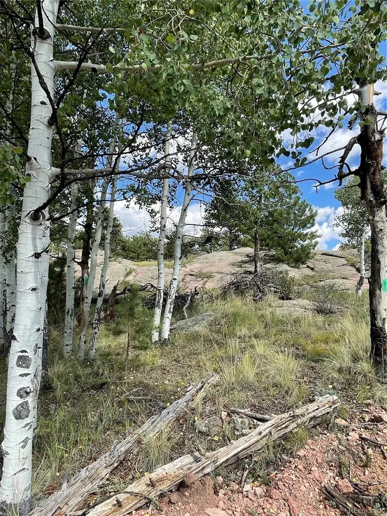 330 Arrowhead Drive Florissant CO 80816