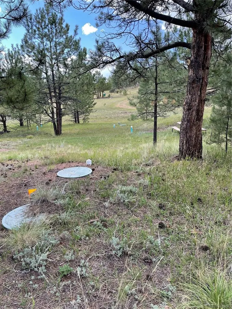 330 Arrowhead Drive Florissant CO 80816