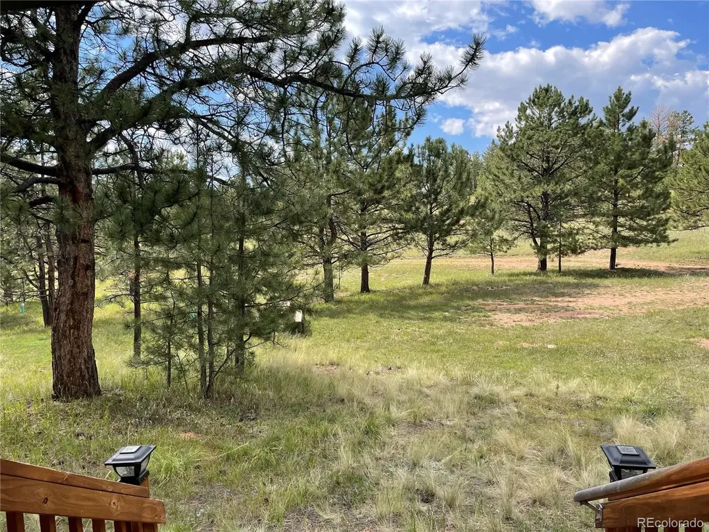 330 Arrowhead Drive Florissant CO 80816
