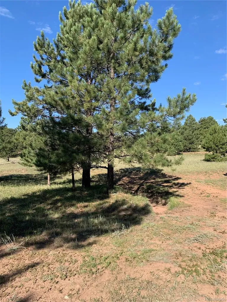 330 Arrowhead Drive Florissant CO 80816