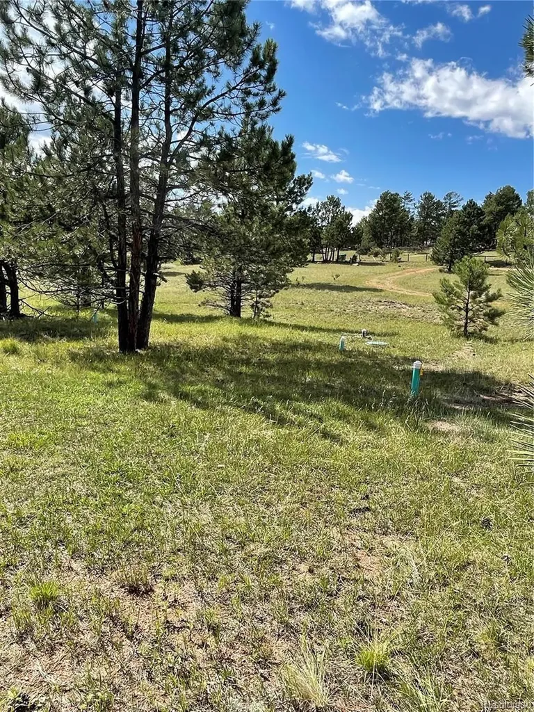 330 Arrowhead Drive Florissant CO 80816