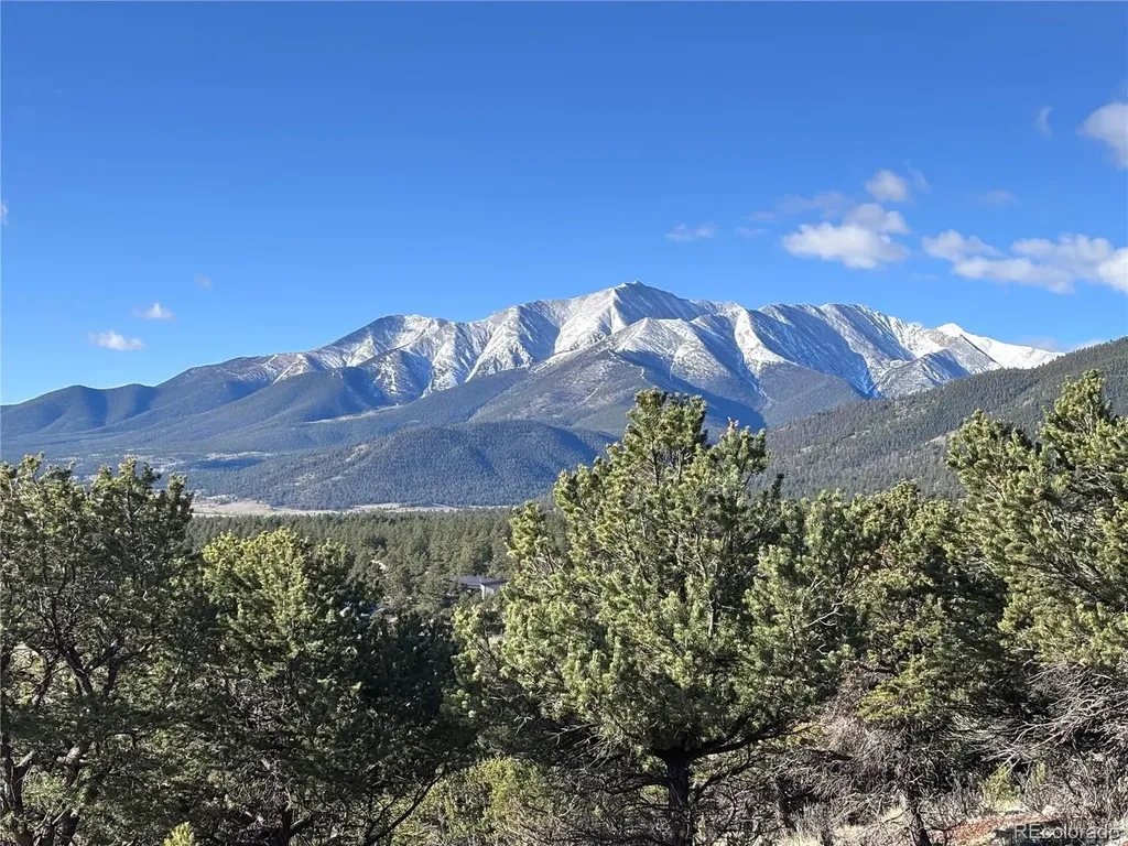 30499 Valley View Buena Vista CO 81211