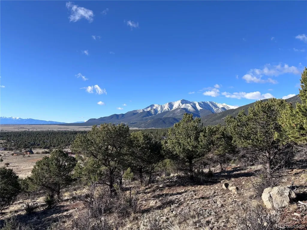 30499 Valley View Buena Vista CO 81211