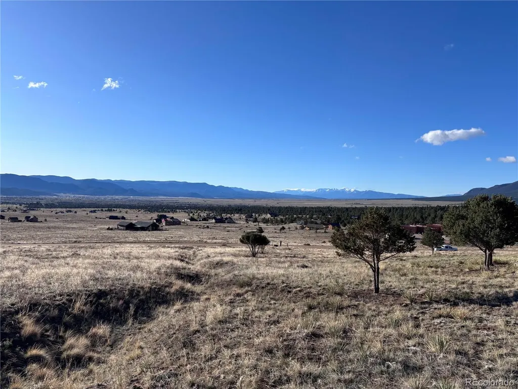 30499 Valley View Buena Vista CO 81211