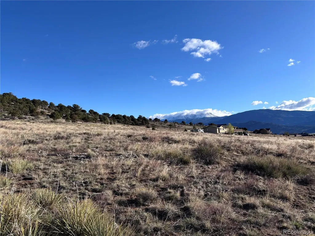 30499 Valley View Buena Vista CO 81211