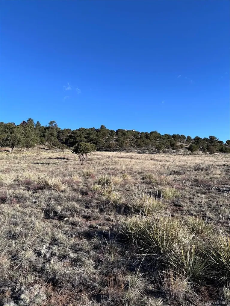 30499 Valley View Buena Vista CO 81211