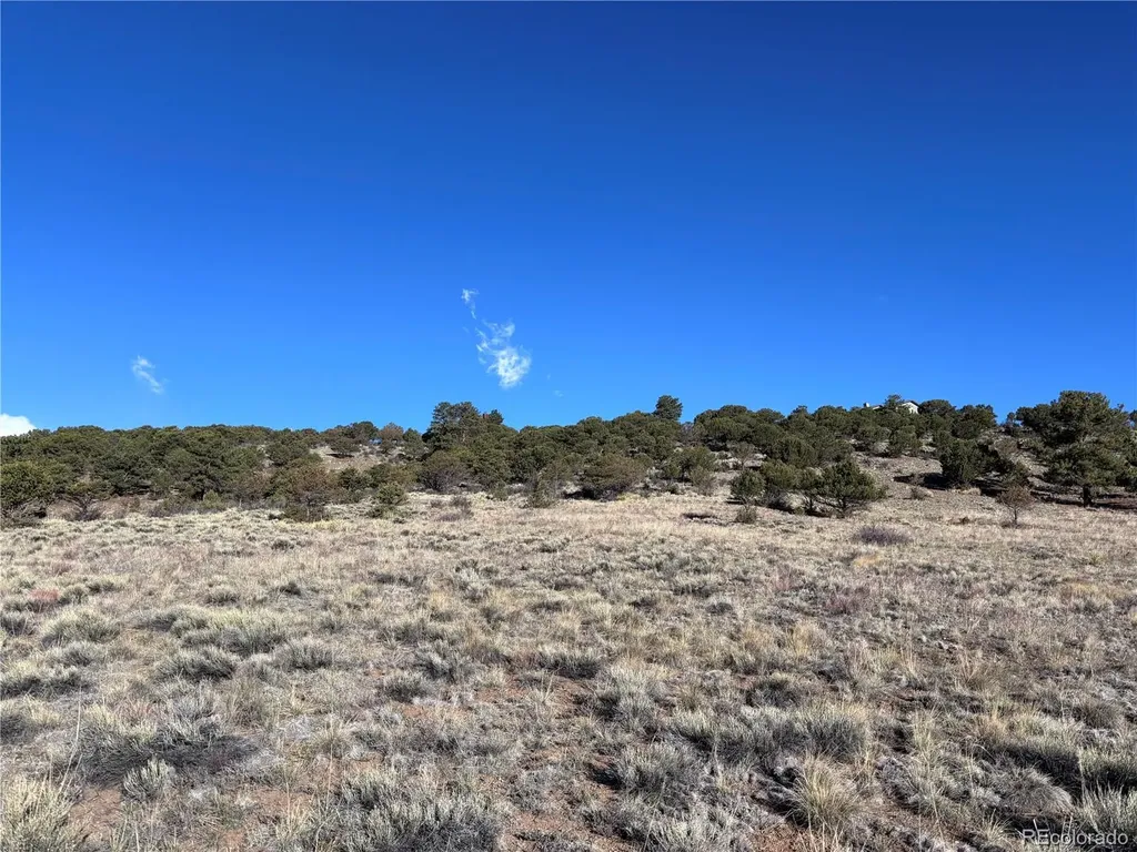 30499 Valley View Buena Vista CO 81211