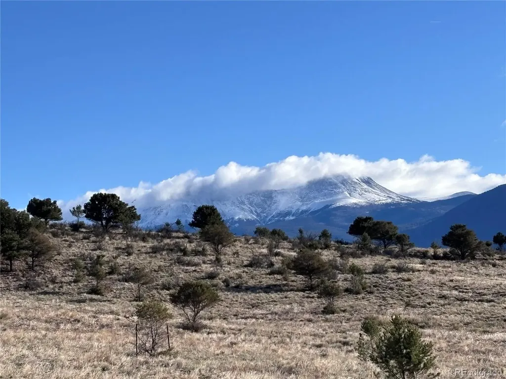 30499 Valley View Buena Vista CO 81211