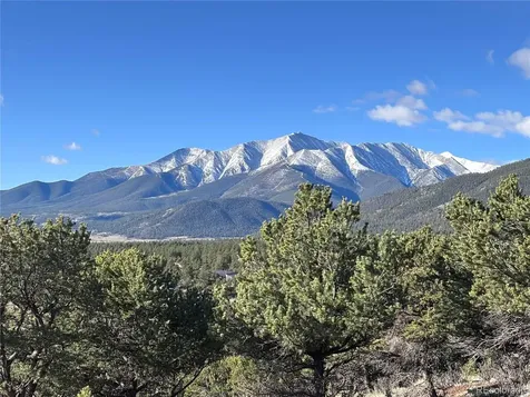 30499 Valley View Buena Vista CO 81211
