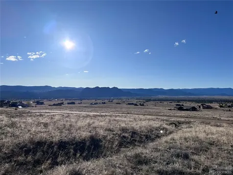30499 Valley View Buena Vista CO 81211