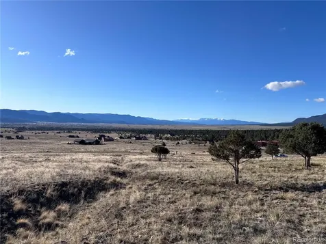 30499 Valley View Buena Vista CO 81211