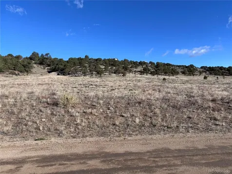 30499 Valley View Buena Vista CO 81211