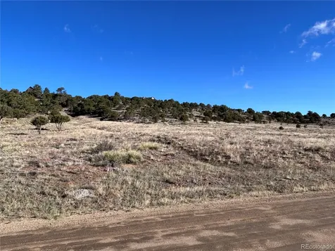 30499 Valley View Buena Vista CO 81211