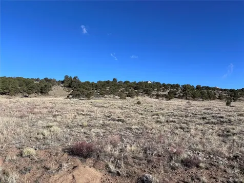 30499 Valley View Buena Vista CO 81211