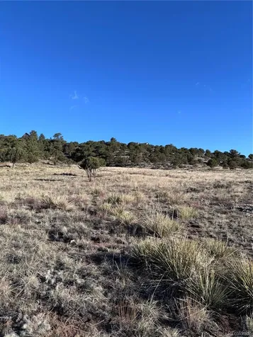 30499 Valley View Buena Vista CO 81211