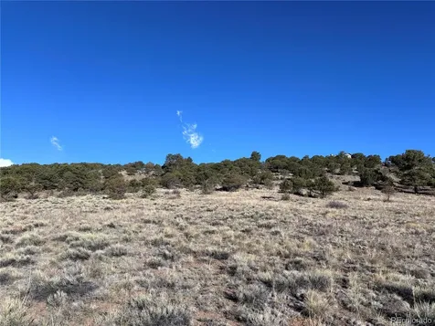 30499 Valley View Buena Vista CO 81211