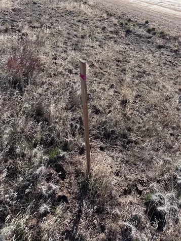 30499 Valley View Buena Vista CO 81211