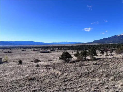 30499 Valley View Buena Vista CO 81211