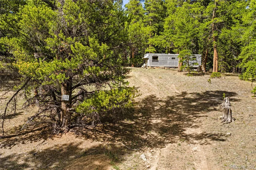 7197 H S M, Lady Gay Leadville CO 80461