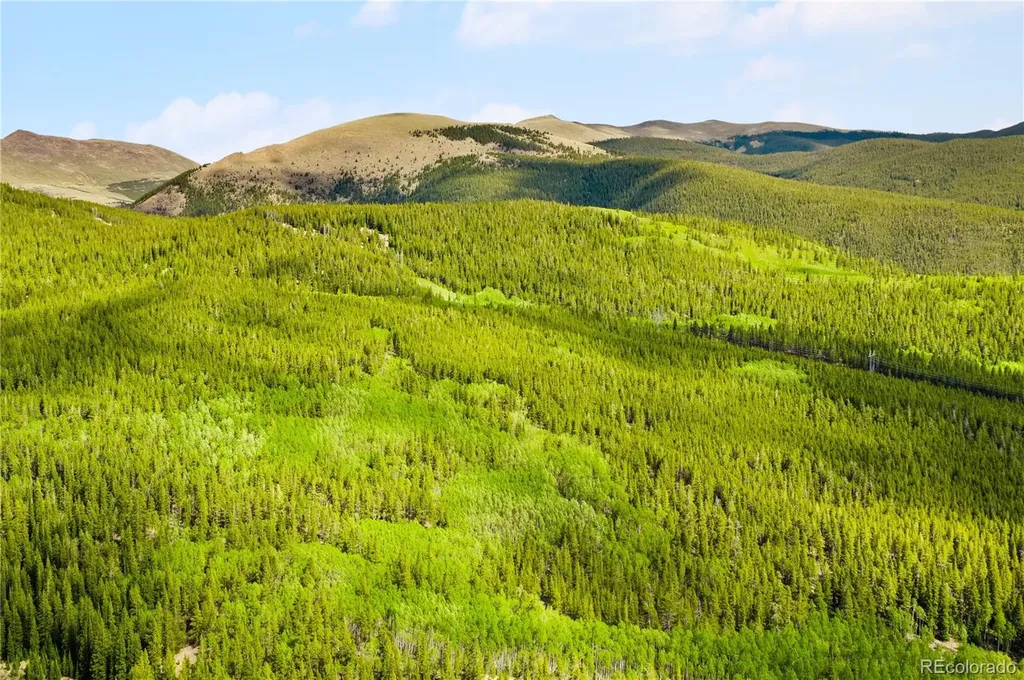 7197 H S M, Lady Gay Leadville CO 80461