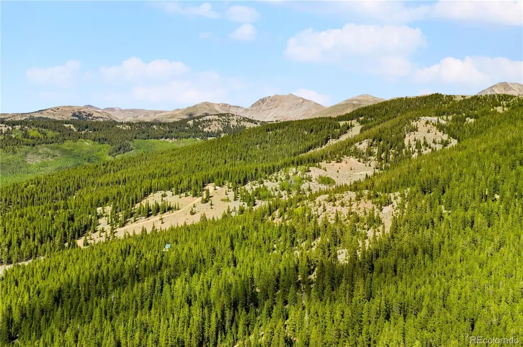 7197 H S M, Lady Gay Leadville CO 80461