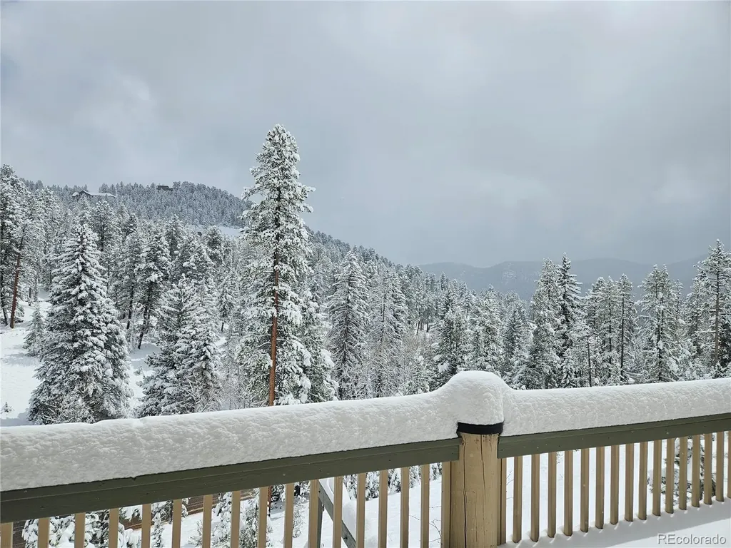 7291 Brook Forest Drive Evergreen CO 80439