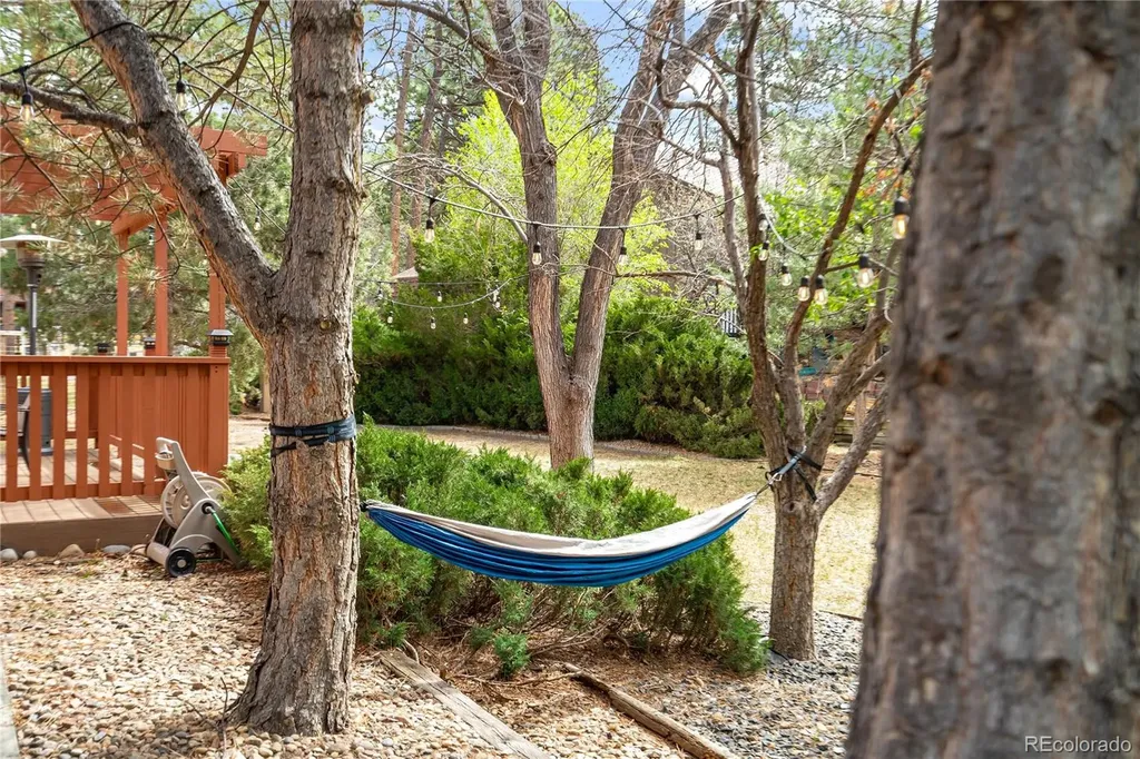 9830 Ponderosa Court Parker CO 80134
