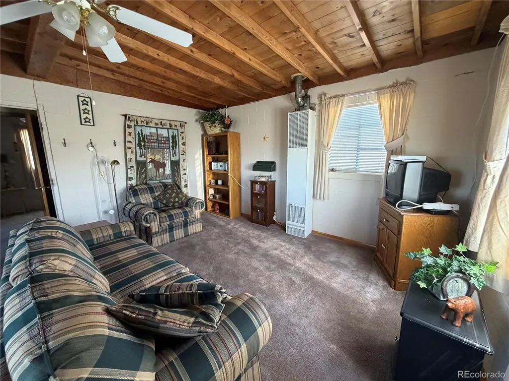 101 Doe Street Hartsel CO 80449