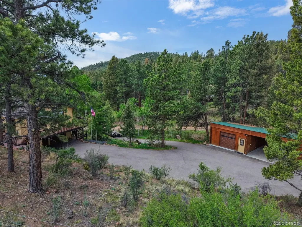 33799 Warren Road Pine CO 80470