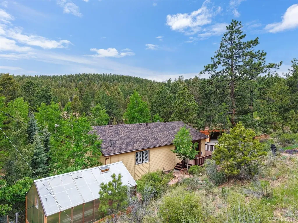 33799 Warren Road Pine CO 80470