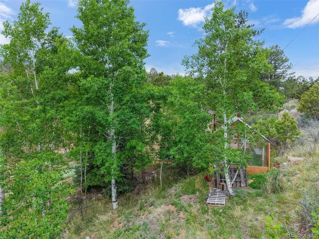 33799 Warren Road Pine CO 80470