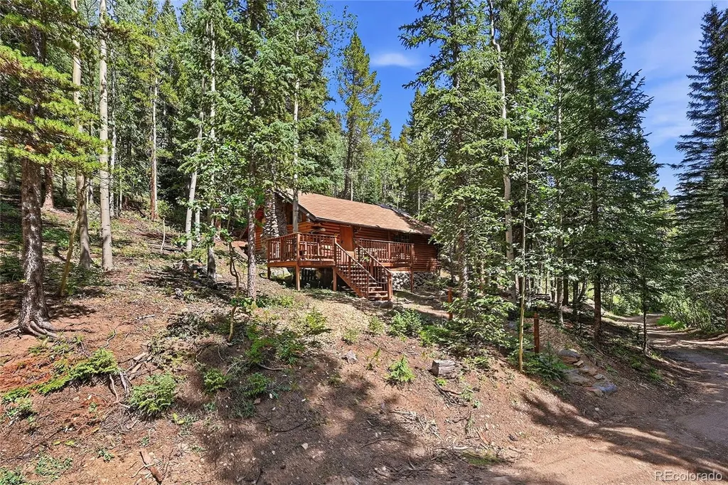 907 Hefferman Gulch Road Idaho Springs CO 80452
