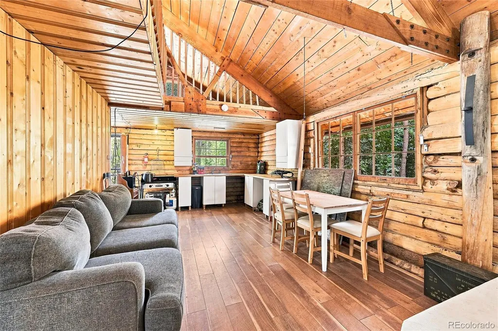 907 Hefferman Gulch Road Idaho Springs CO 80452