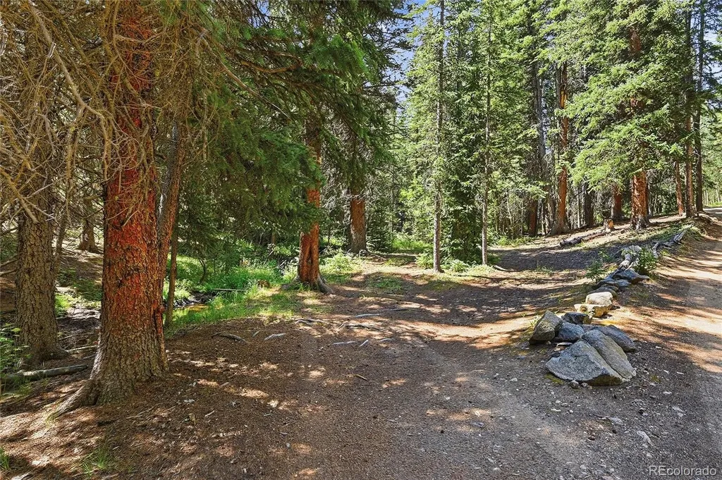 907 Hefferman Gulch Road Idaho Springs CO 80452