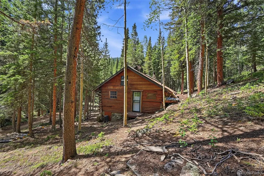 907 Hefferman Gulch Road Idaho Springs CO 80452