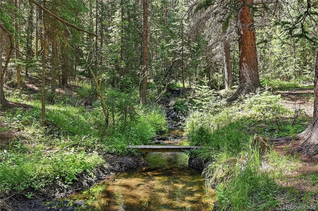 907 Hefferman Gulch Road Idaho Springs CO 80452