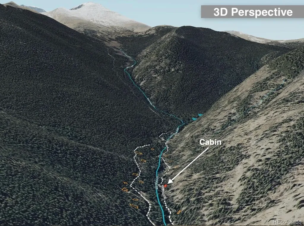 907 Hefferman Gulch Road Idaho Springs CO 80452