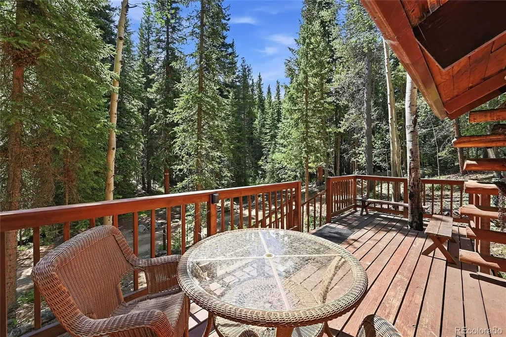 907 Hefferman Gulch Road Idaho Springs CO 80452