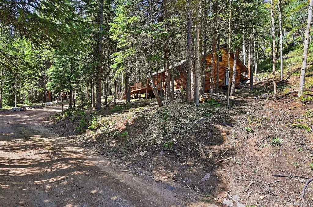 907 Hefferman Gulch Road Idaho Springs CO 80452