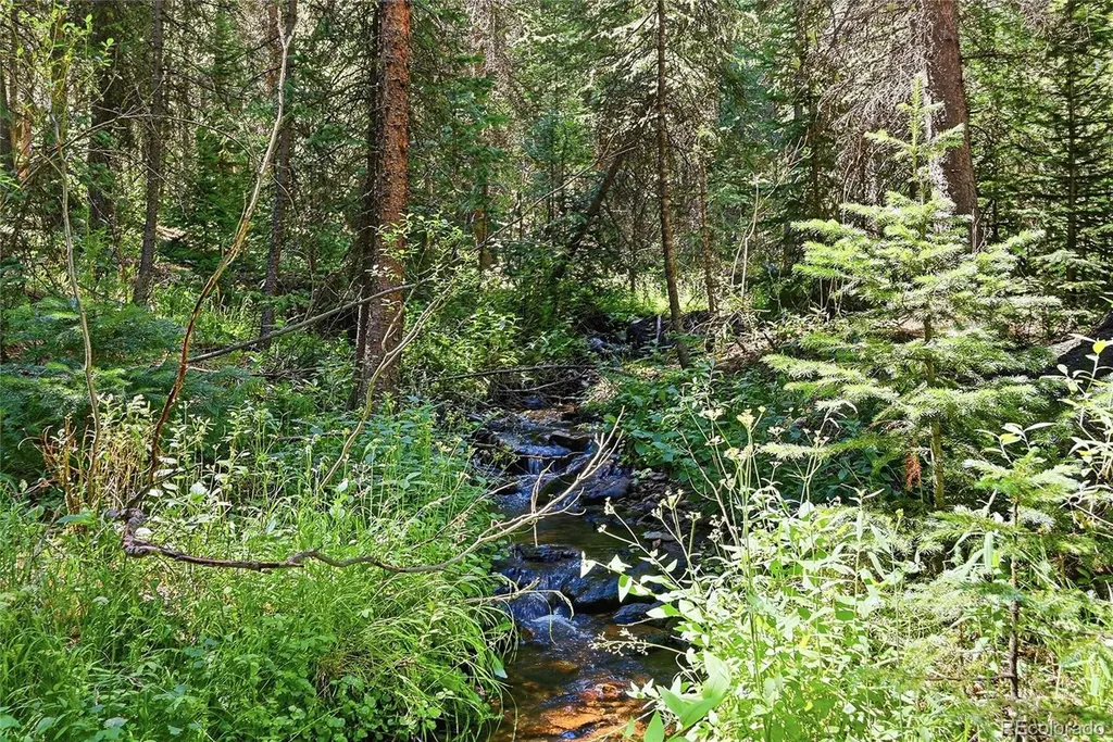 907 Hefferman Gulch Road Idaho Springs CO 80452