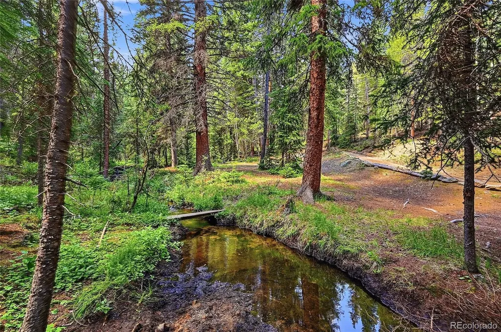 907 Hefferman Gulch Road Idaho Springs CO 80452