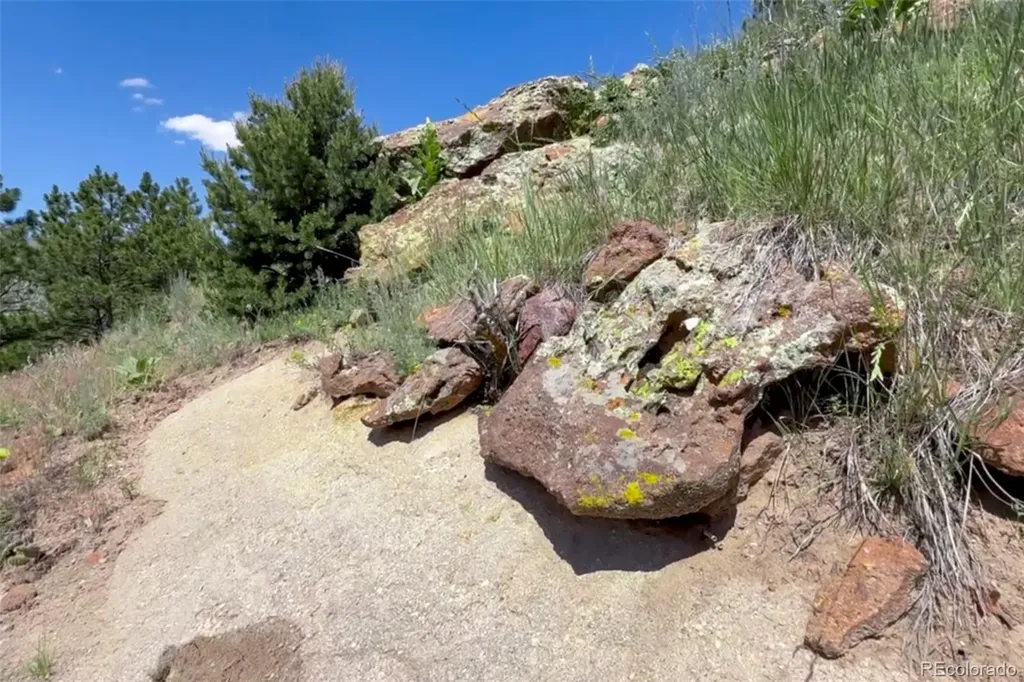 7137 Oak Valley Drive Colorado Springs CO 80919