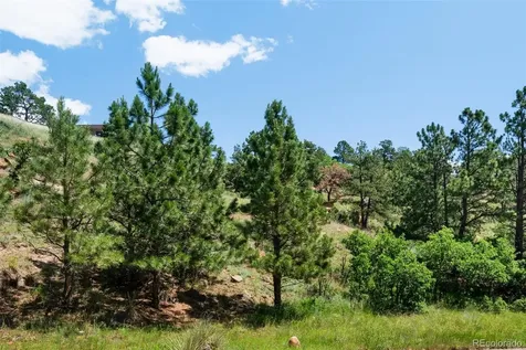 7137 Oak Valley Drive Colorado Springs CO 80919