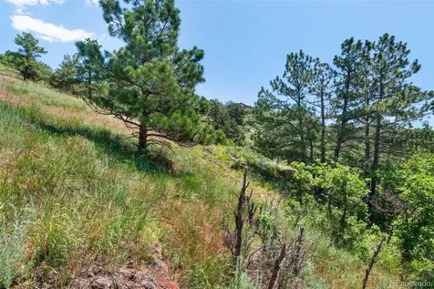 7137 Oak Valley Drive Colorado Springs CO 80919
